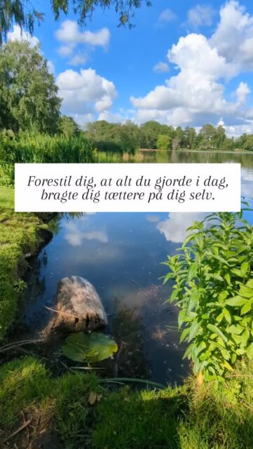 Hvis du skulle forestille dig en hel dag hvor alt hvad du gør, leder dig i retning af en indre ro.💛 Hvad laver du?💛 Hvem er du sammen med?💛 Hvad taler i om?💛 Hvor er du henne?Læg mærke til, hvad der dukker op. Ofte ved vi godt, hvad vi har brug for, vi har bare glemt at lytte.Dine svar fortæller dig noget vigtigt om, hvad du længes efter lige nu. Se om du kan få lidt af det ind i din dag 💛#moderskab #livetsommor #livetmedbørn #familieliv #hverdagsglæde